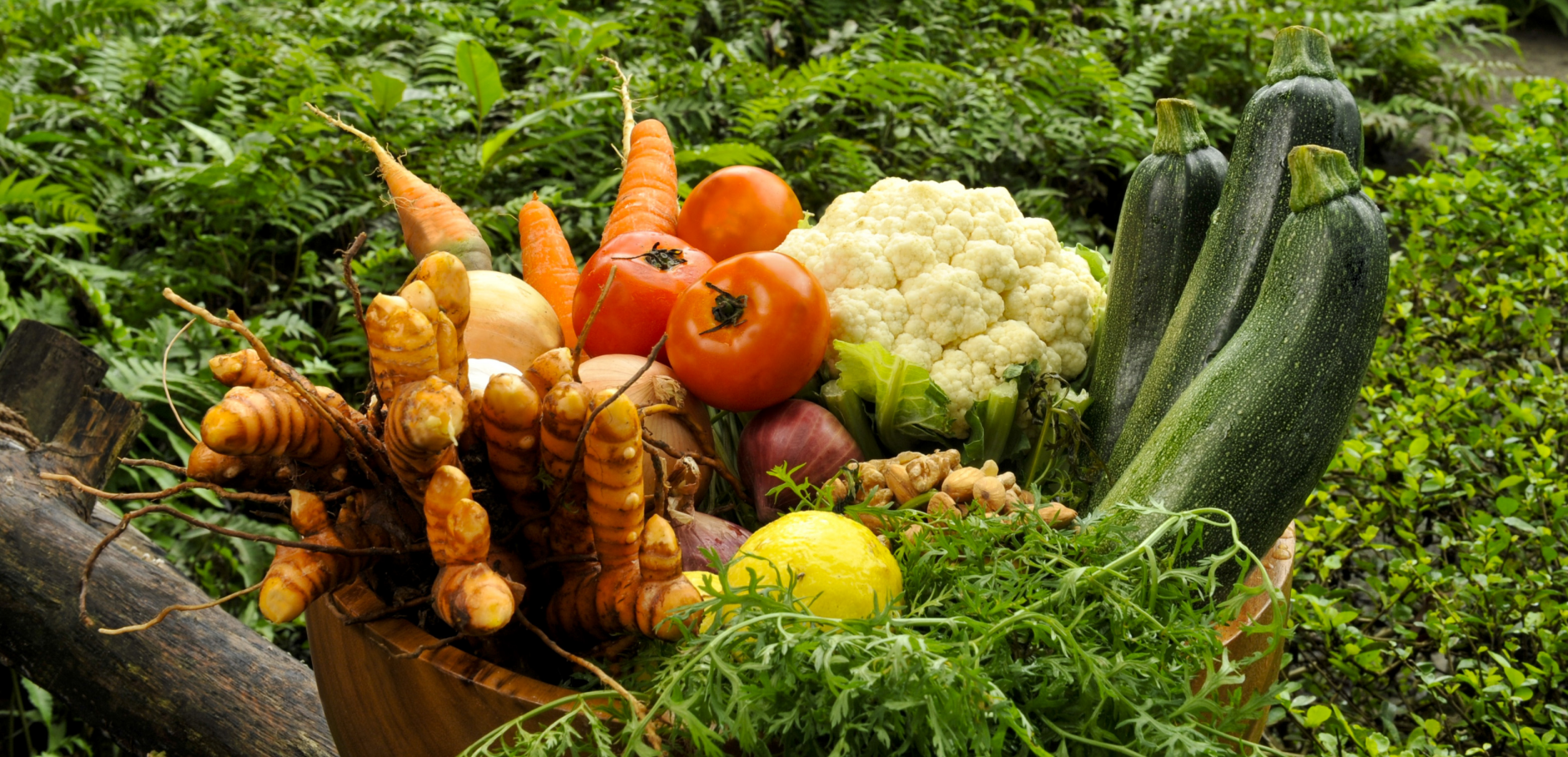  Weight MGT,Diabetes Prevetion & Heart Health